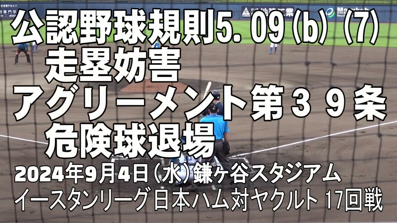 【走塁妨害・危険球退場】審判員の判定と動き