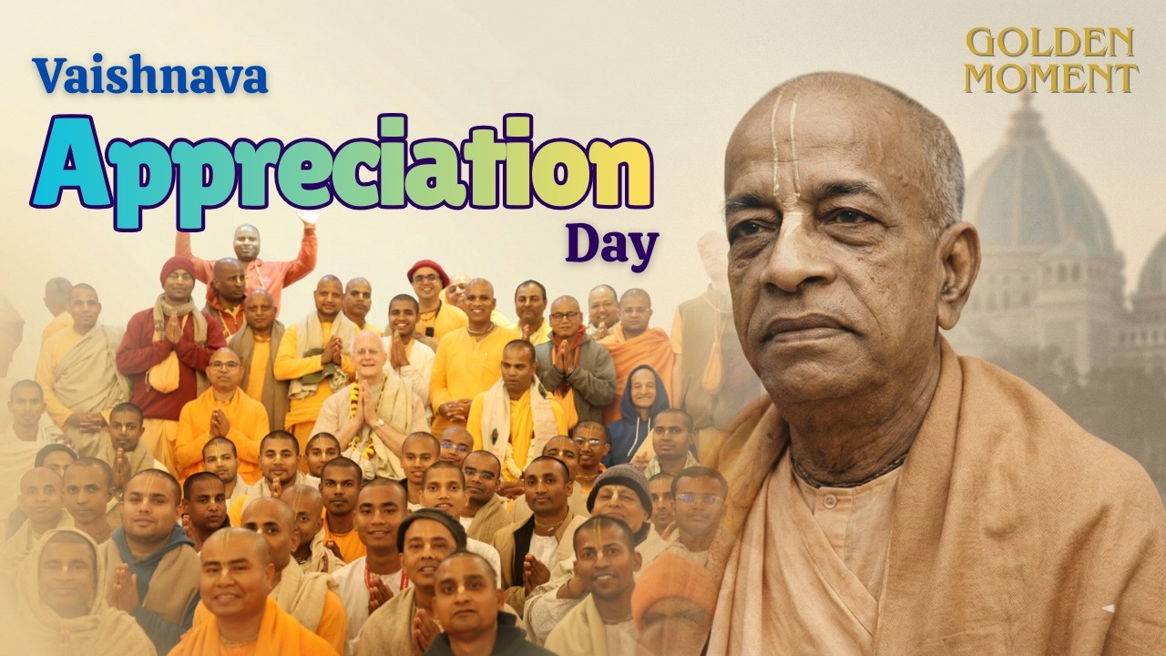 A Golden Moment of Service and Gratitude | Vaishnava Appreciation Day | Mayapur Sankirtan Official