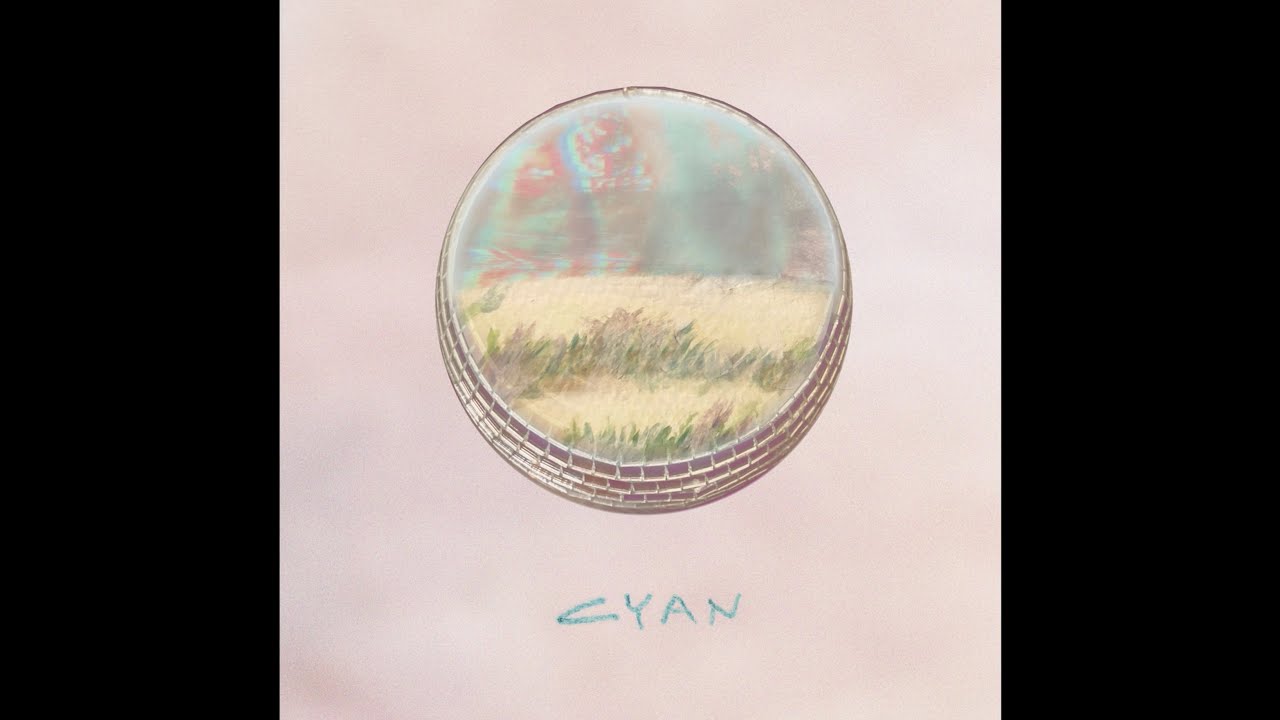 Thomas Flynn - Lime Disease