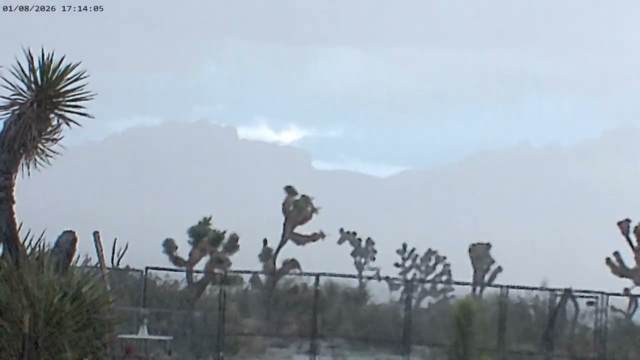 Winter Has Arrived at Petrichor Ranch ~ 01/08/26