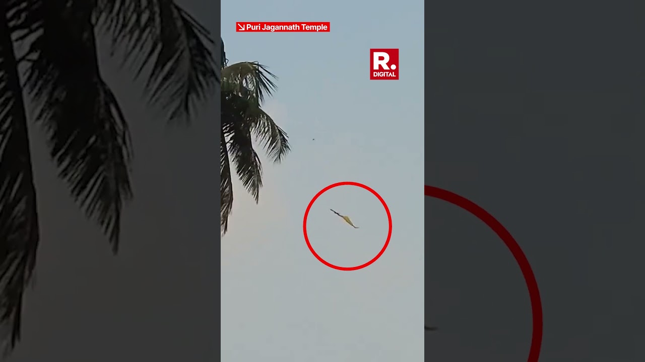 Puri Jagannatha Mandir: Eagle Soars Over Puri Jagannath Temple Carrying &lsquo;Patitapaban Bana&rsquo;?