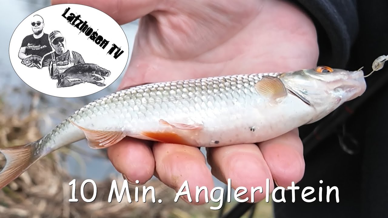 10 Min. Anglerlatein