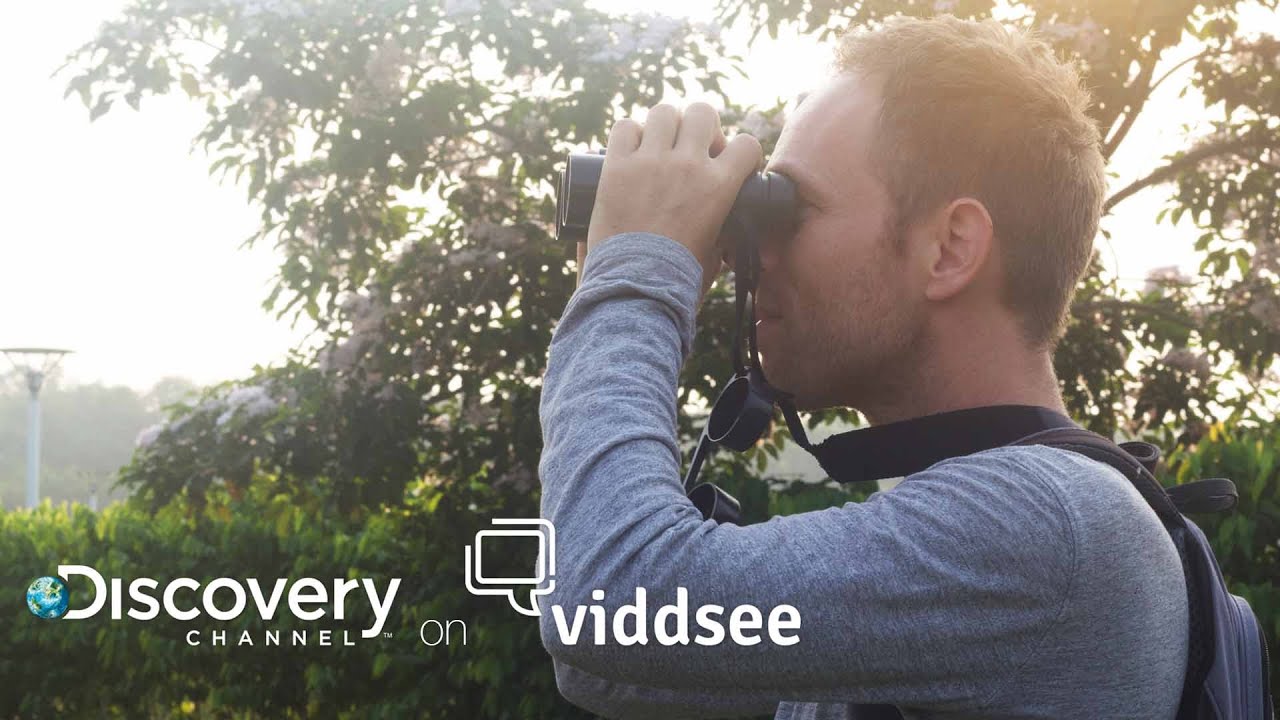 Man Vs. Birds - To Catch The Bird, You Must First BE The Bird // Discovery on Viddsee