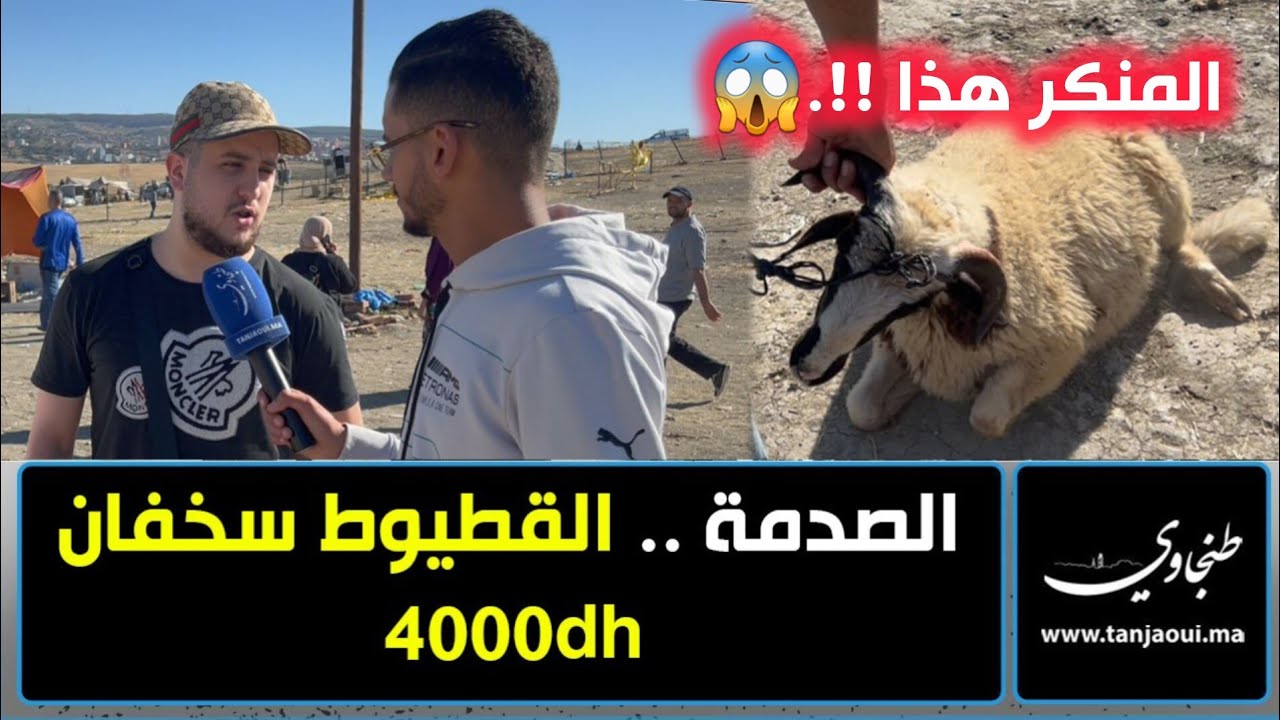 الصدمة.. القطيوط سخفان ب 4000dh و الناس شاعلين حيث ما قادرينش يشريو كبش العيد