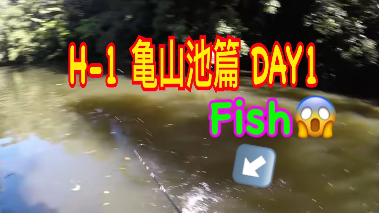 HR溪谷獵人挑戰日本賽事全記錄DAY1(#tokoyo #daiwa #hardbait #lurefishing#bassfishing#千葉県#亀山#spinnerbait )