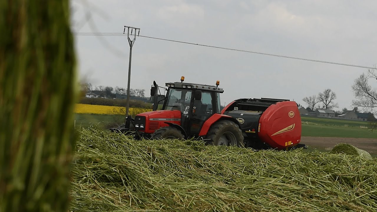 🇵🇱Żyto na kiszonkę 2020 od A do Z ㋡z MF6280//NH td5030//Lely/vicon ☆