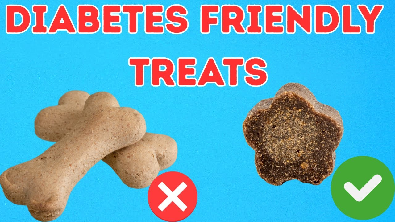 Лучшие лакомства для собак, больных диабетом (и наука, о которой вам никогда не рассказывали)