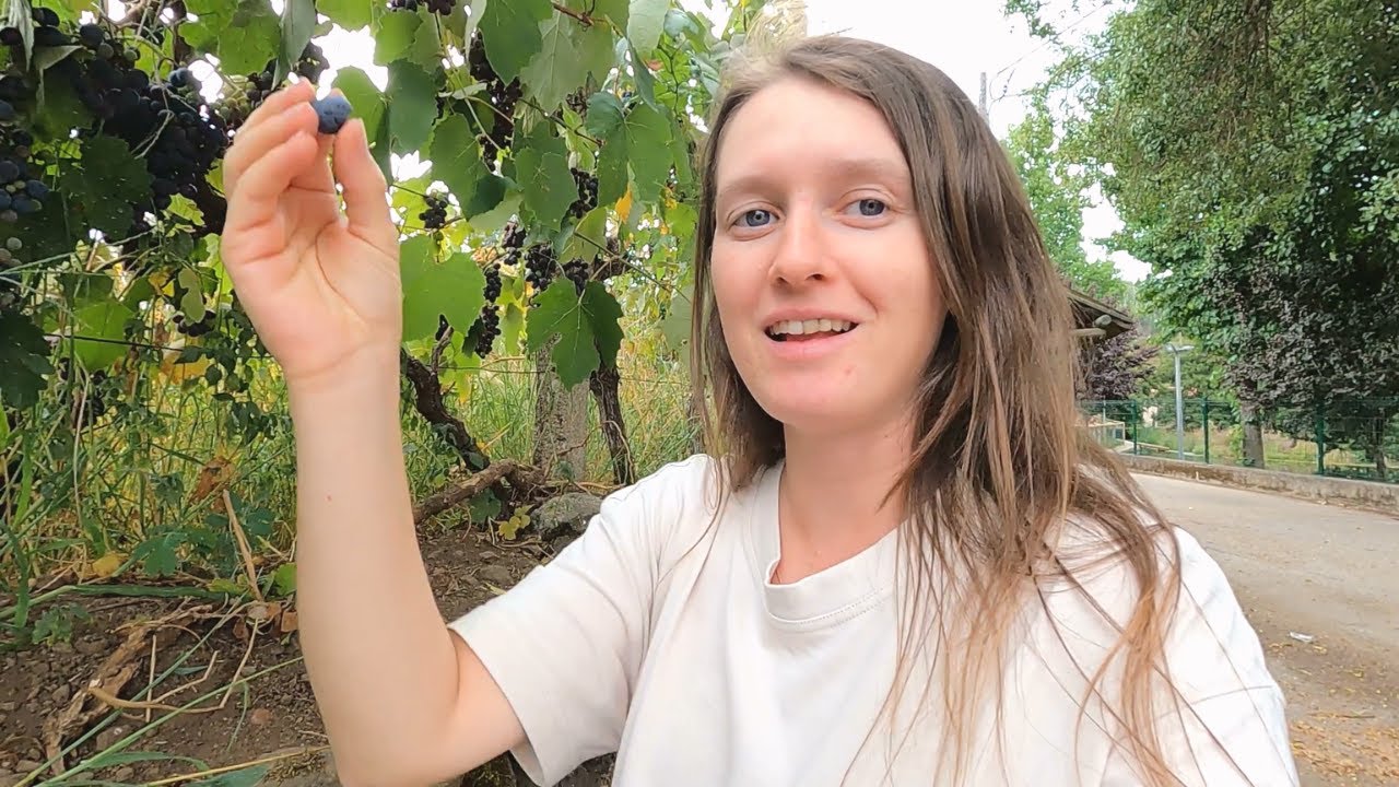 Vanlife Trip To Central Portugal| Exploring River Beaches