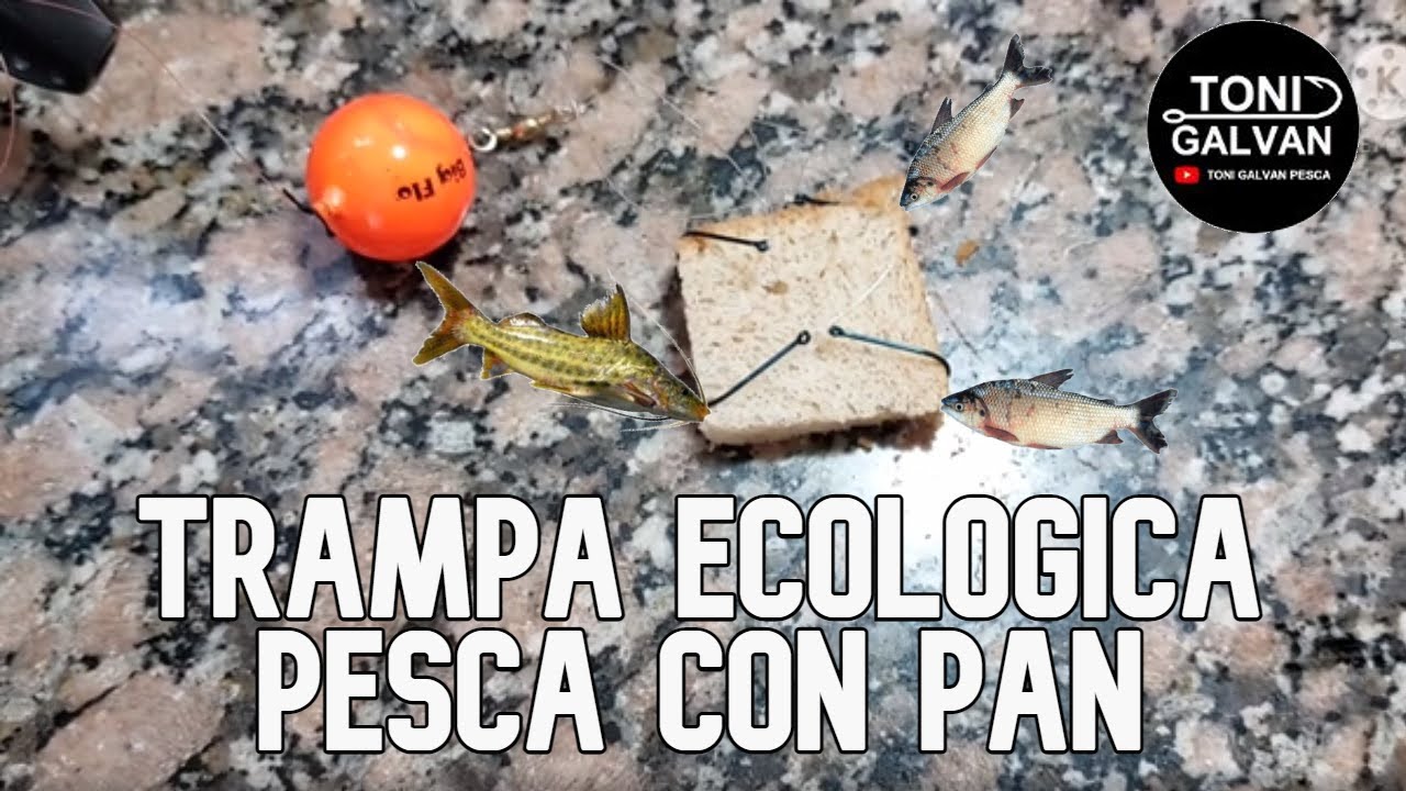 PESCAR CON PAN A FLOTE \\ PESCA VARIADA \\ #PESCA #PESCAR #PESCADORES