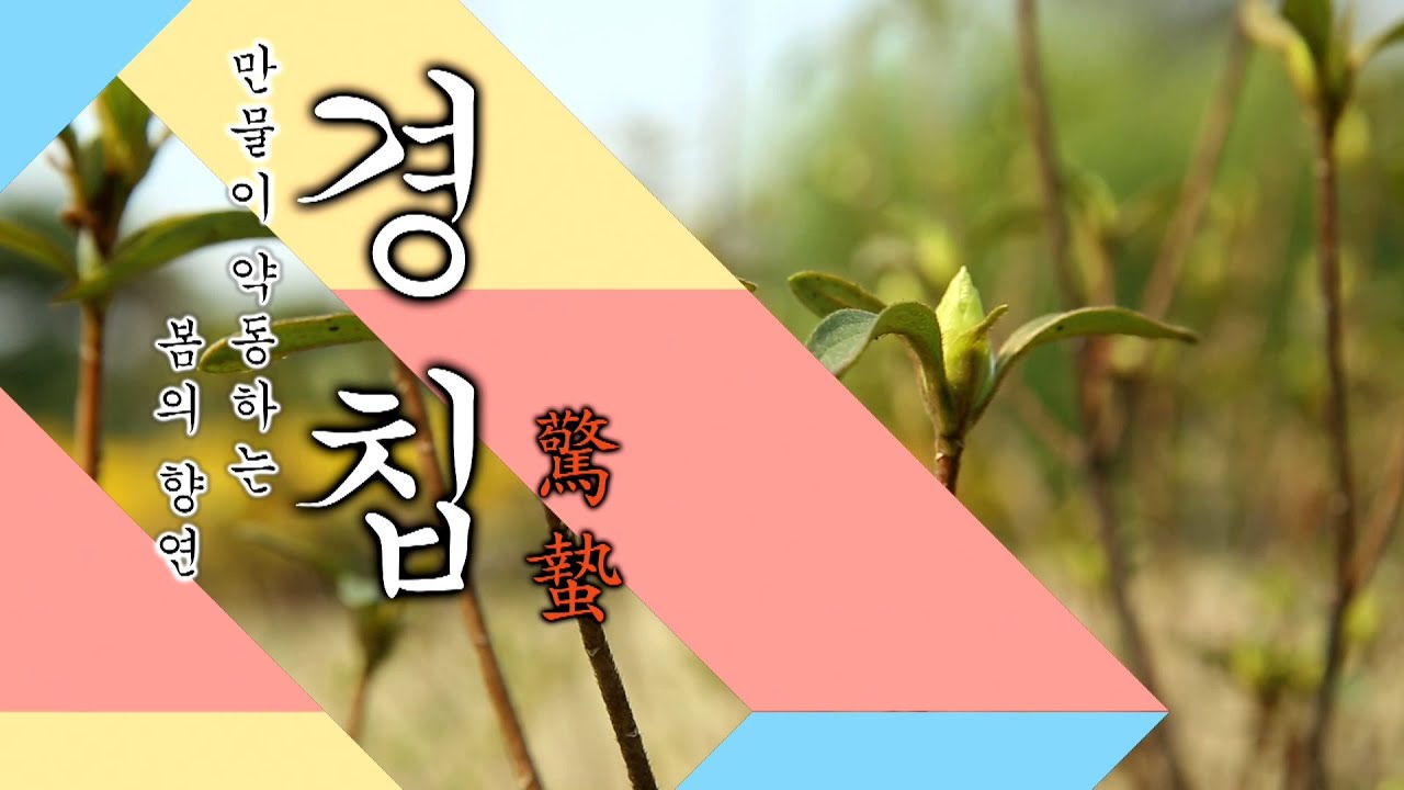 24절기 