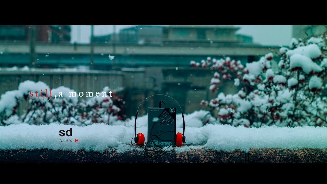 still, a moment 