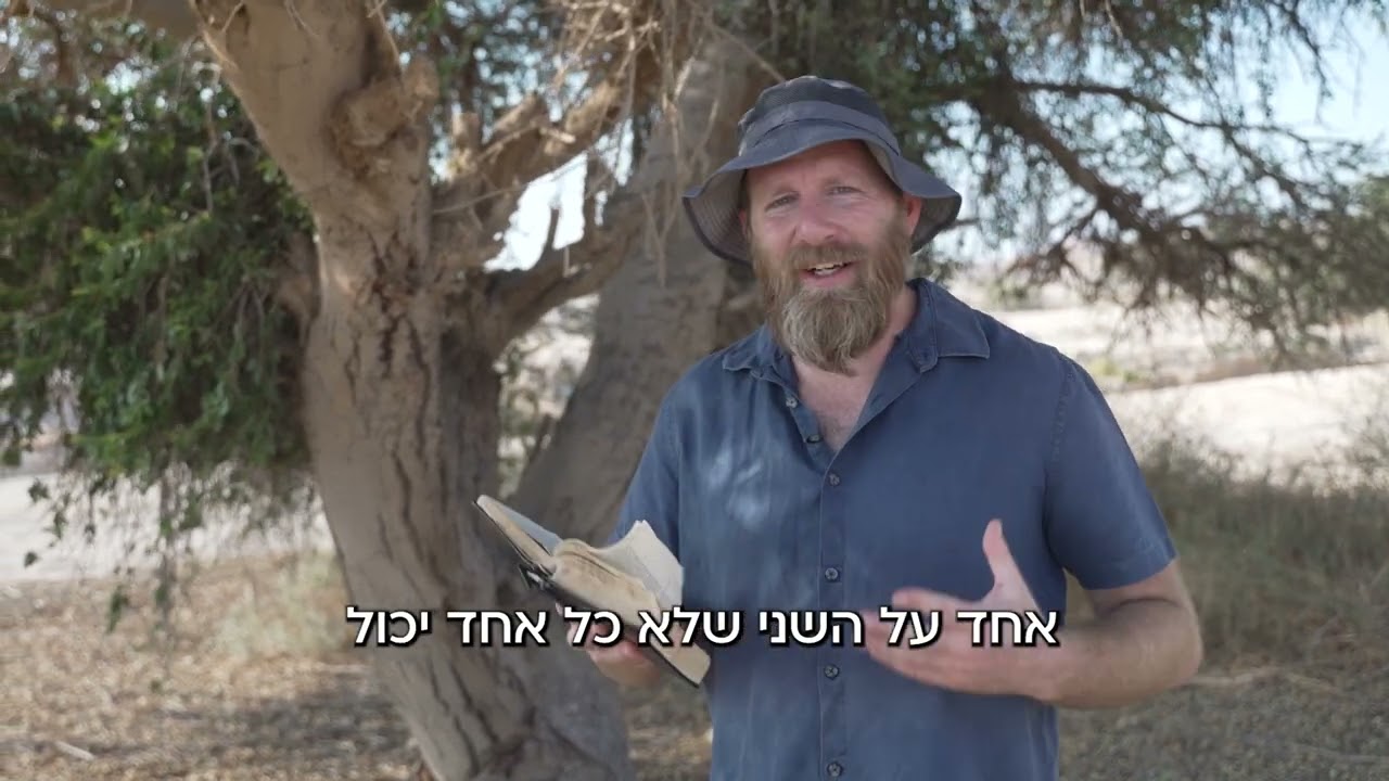 הסוד של עץ השיטה