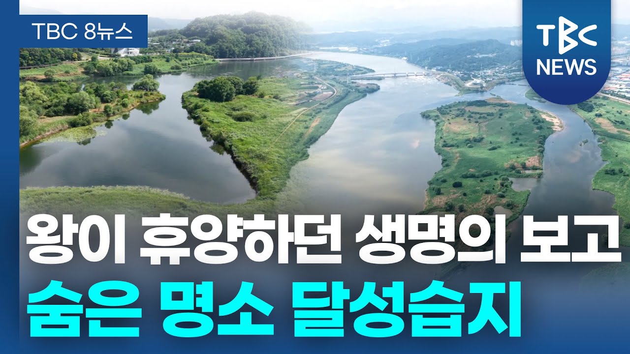 왕이 휴양하던 생명의 보고 숨은 명소 달성습지ㅣTBC영상뉴스