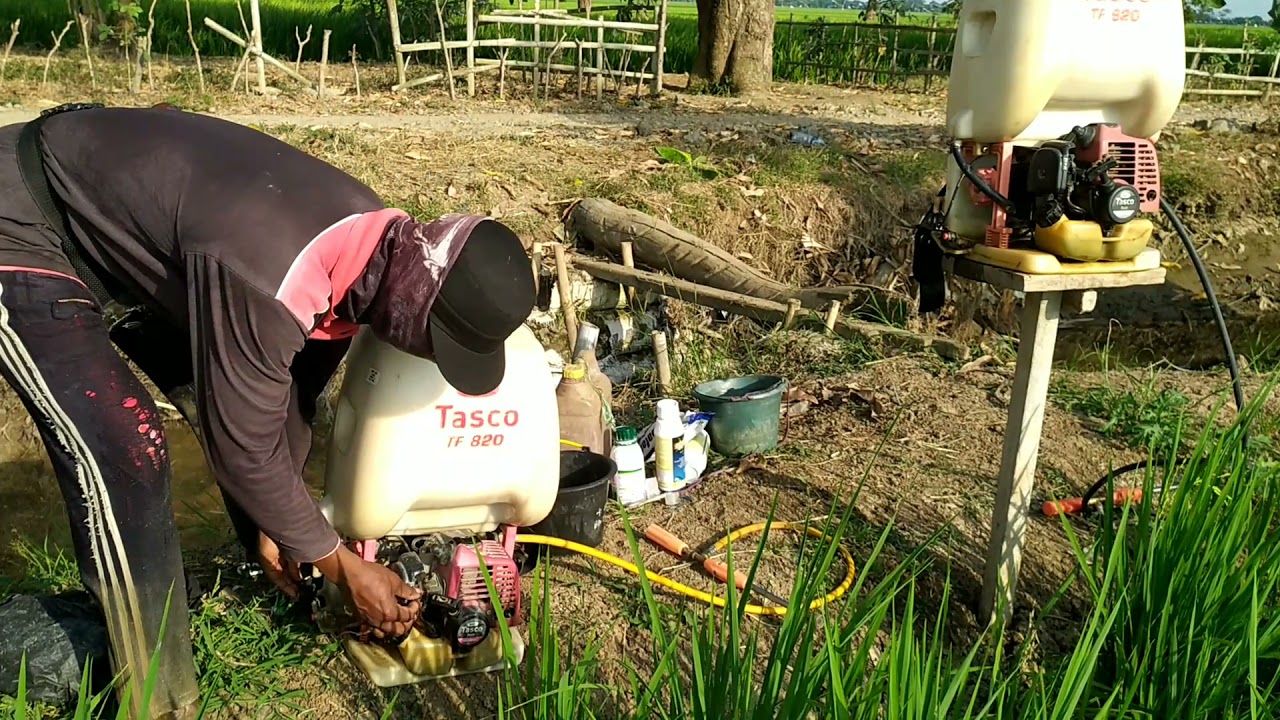 Penyemprotan Hama Padi dengan TASCO TF 820 1/2 bahu (7.000 m2) 2 Orang efektif dalam 15 menit