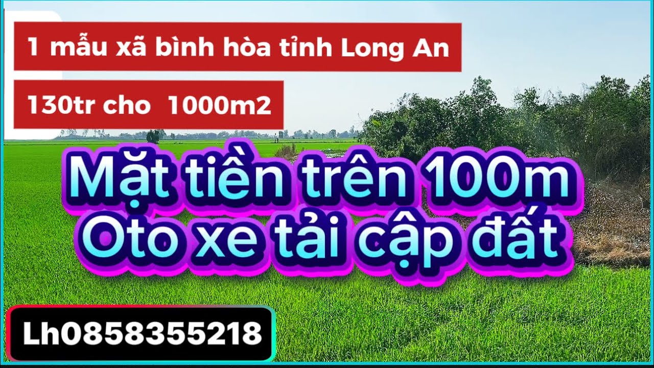 1 mẫu xã bình hòa tỉnh Long An cũ mat tiền trên 100m 130tr  cho 1000m2 lh0858355218