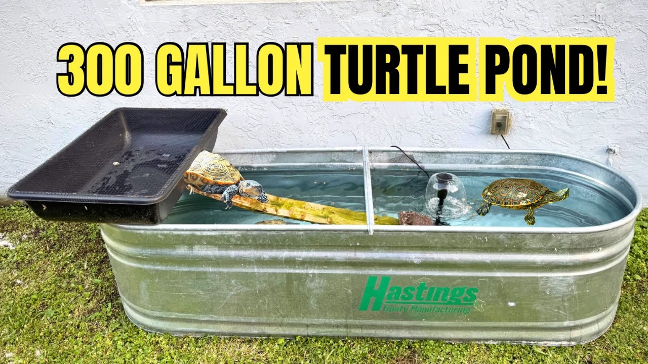 Moving My 300 Gallon TURTLE POND!!!