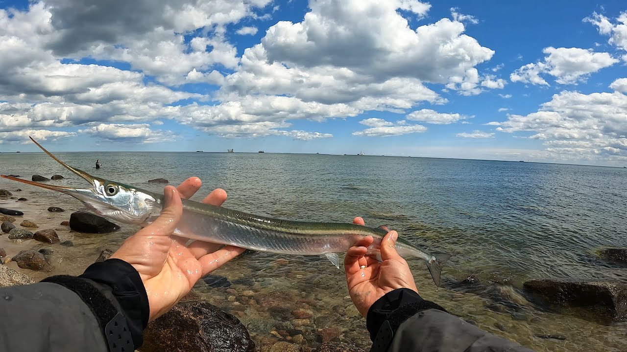 Przynęta, która sięga po belony tam, gdzie nikt nie sięga