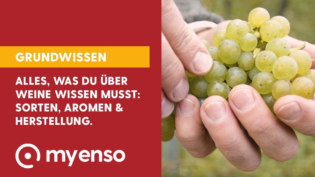 Wie wird Wein hergestellt? Welche Aromen & Sorten gibt es? Rebsorten? I myEnso Online-Supermarkt
