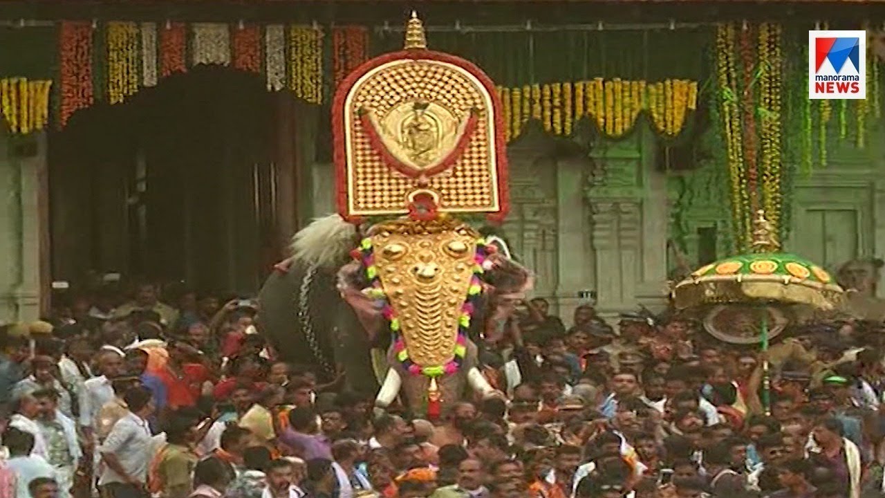 ഒരാണ്ട്; കൊമ്പൻ ശിവസുന്ദറിന്റെ ഓർമയിൽ ആനപ്രേമികൾ| Thiruvampadi sivasundar trissur elephant