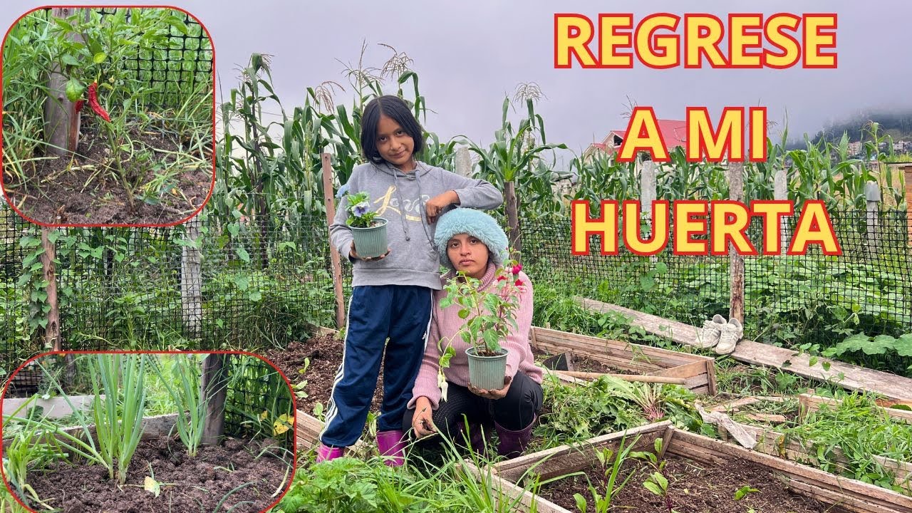 REGRESE  a mi Huerta después de Mucho TIEMPO - JOHANNA