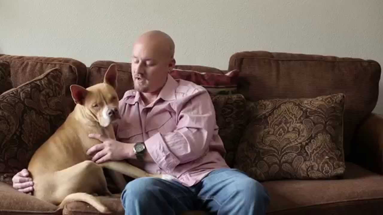 Lifesaving Pet Adoptions