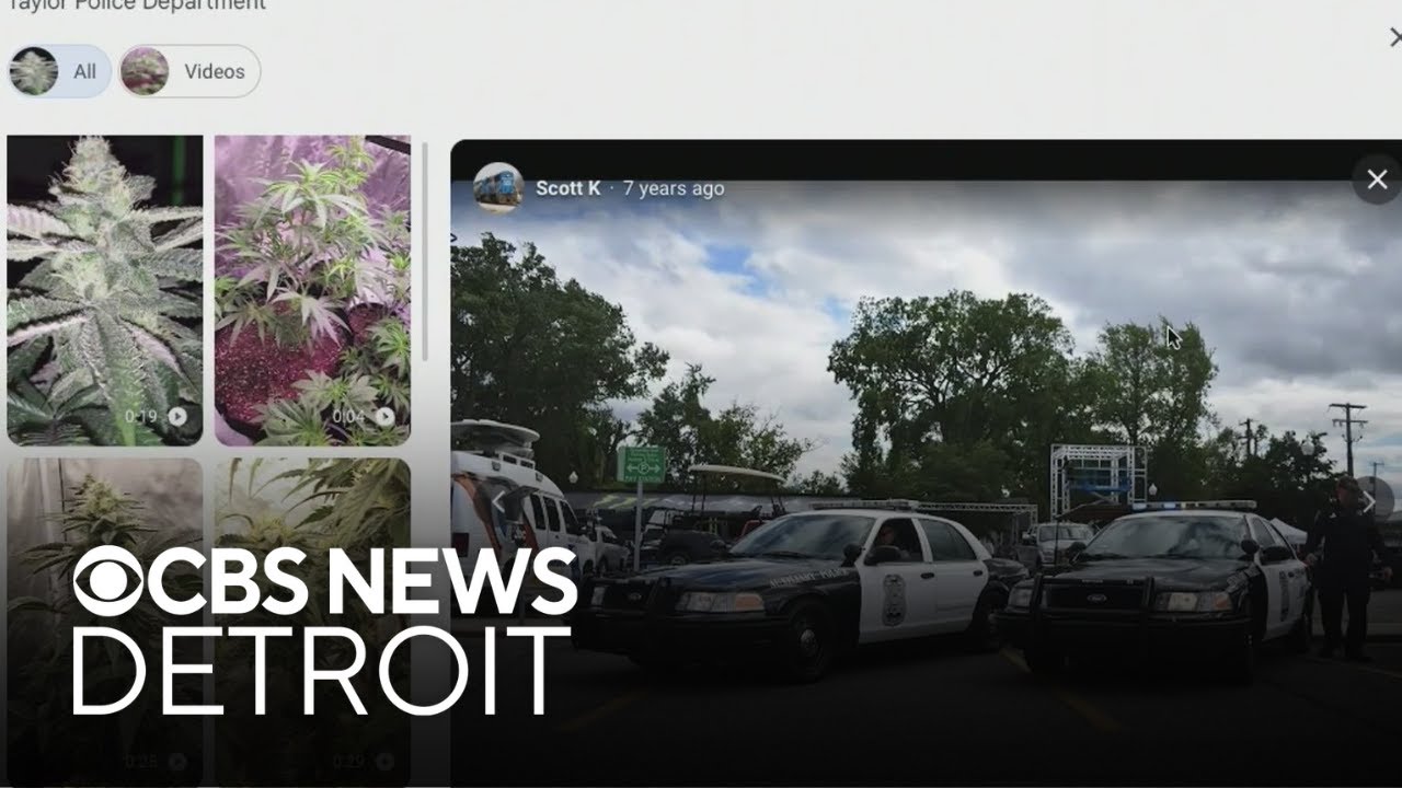 Google links Taylor Police Department to marijuana photos