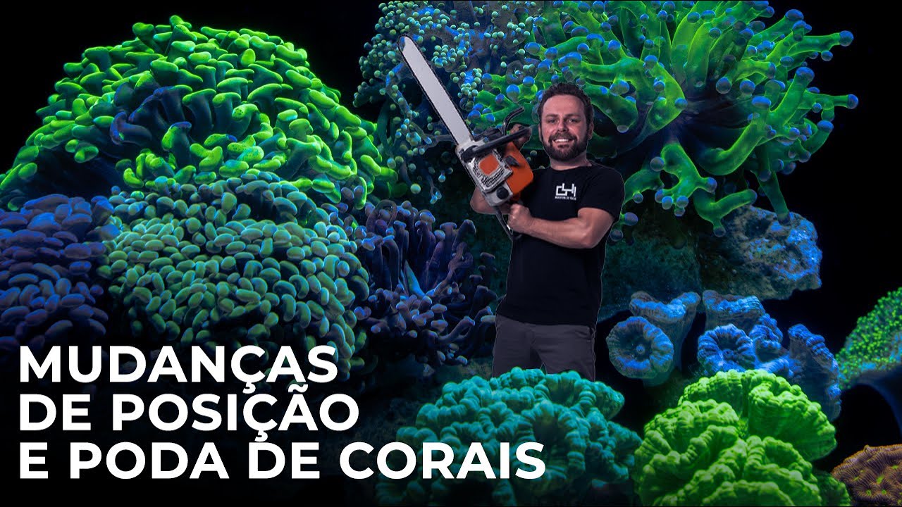 Podando e mudando corais para buscar o equilíbrio visual novamente - nano reef sem experiência! #009