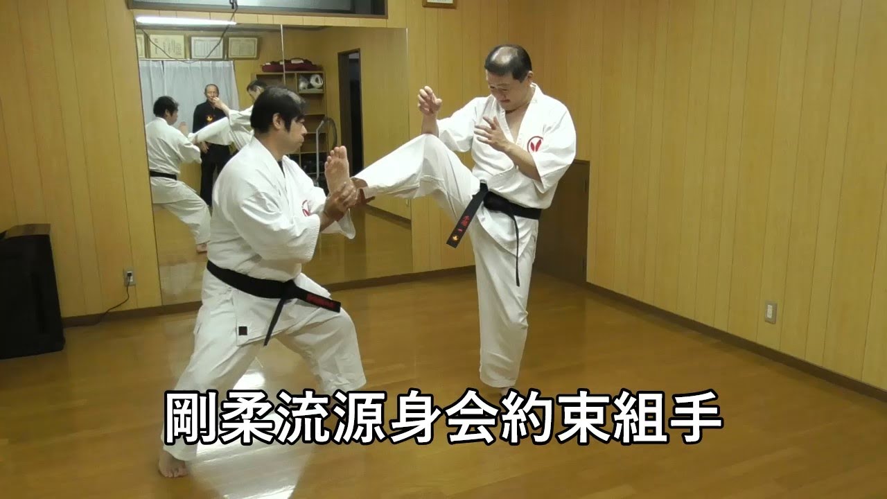 沖縄剛柔流 約束組手中級者向け [Okinawa Gojuryu Yakusoku-Kumite] 剛柔流源身会 Gojuryu-Genshinkai