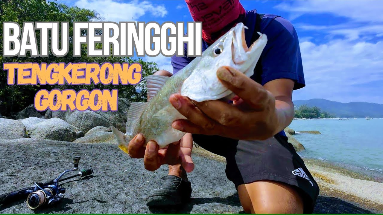 Mancing di Spot Belakang Kem Askar Batu Feringghi | Penang Ultralight