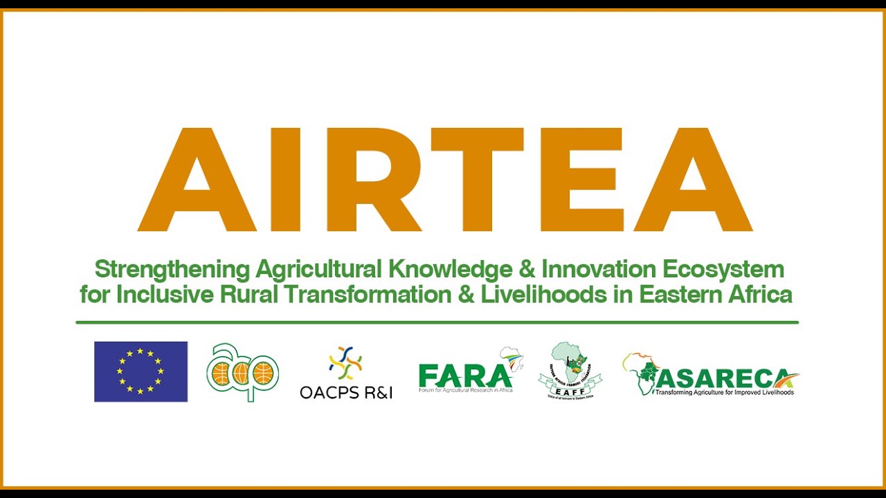 AIRTEA Project Stakeholders & Beneficiaries share their experiences and project impact - Uganda, EA