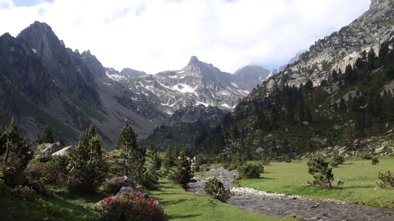 VALLON  DE  POUEY TRENOUS