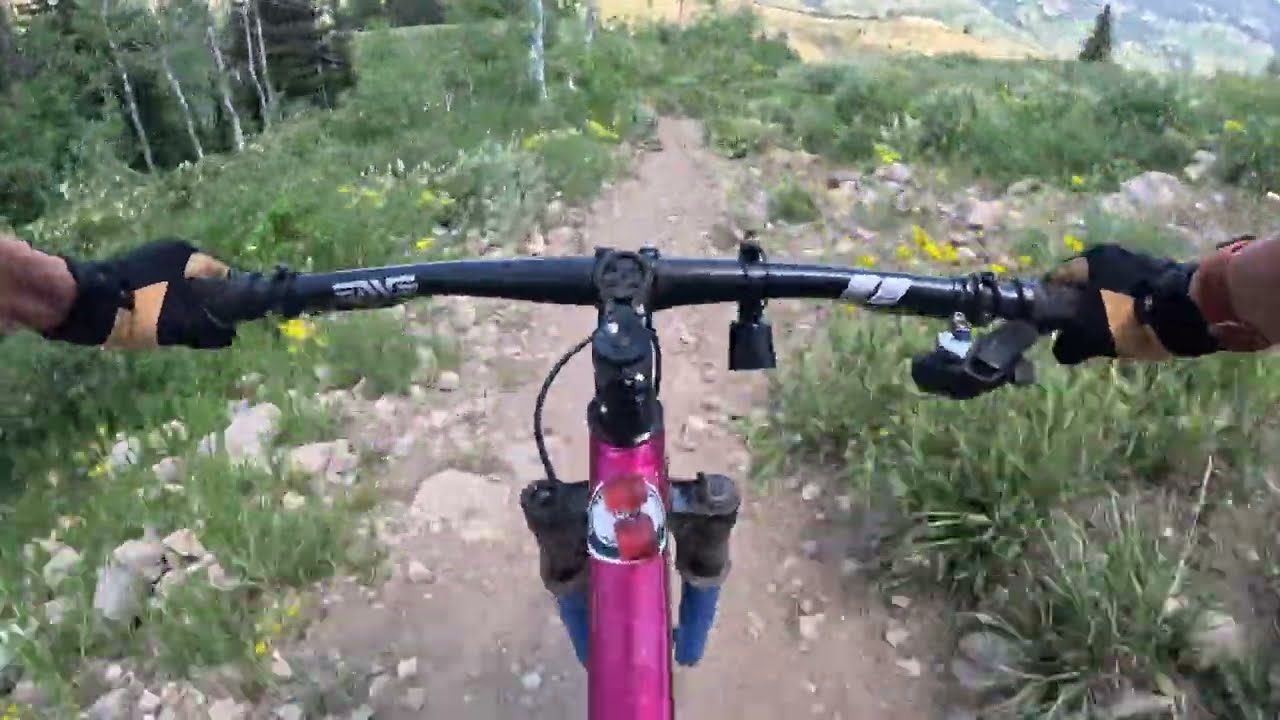 Bunchgrass trail to White Pine Lake, Logan Canyon, UT
