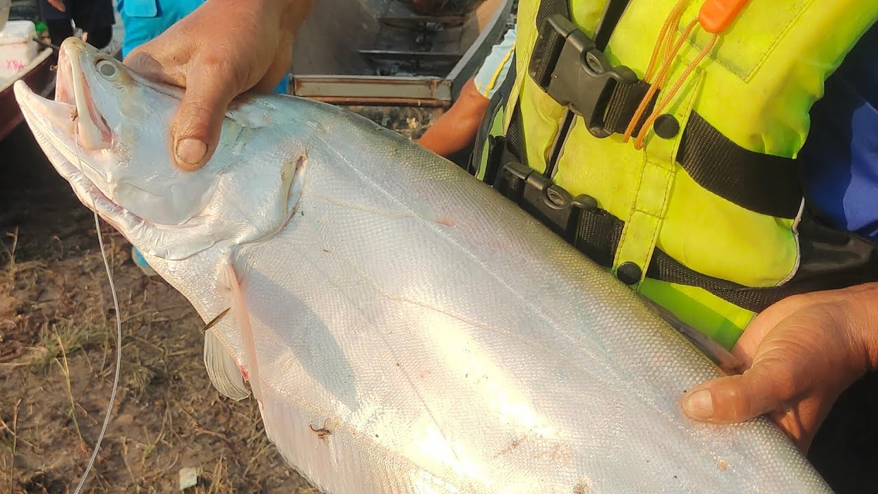 ตลาดท่าเรือซื้อปลา