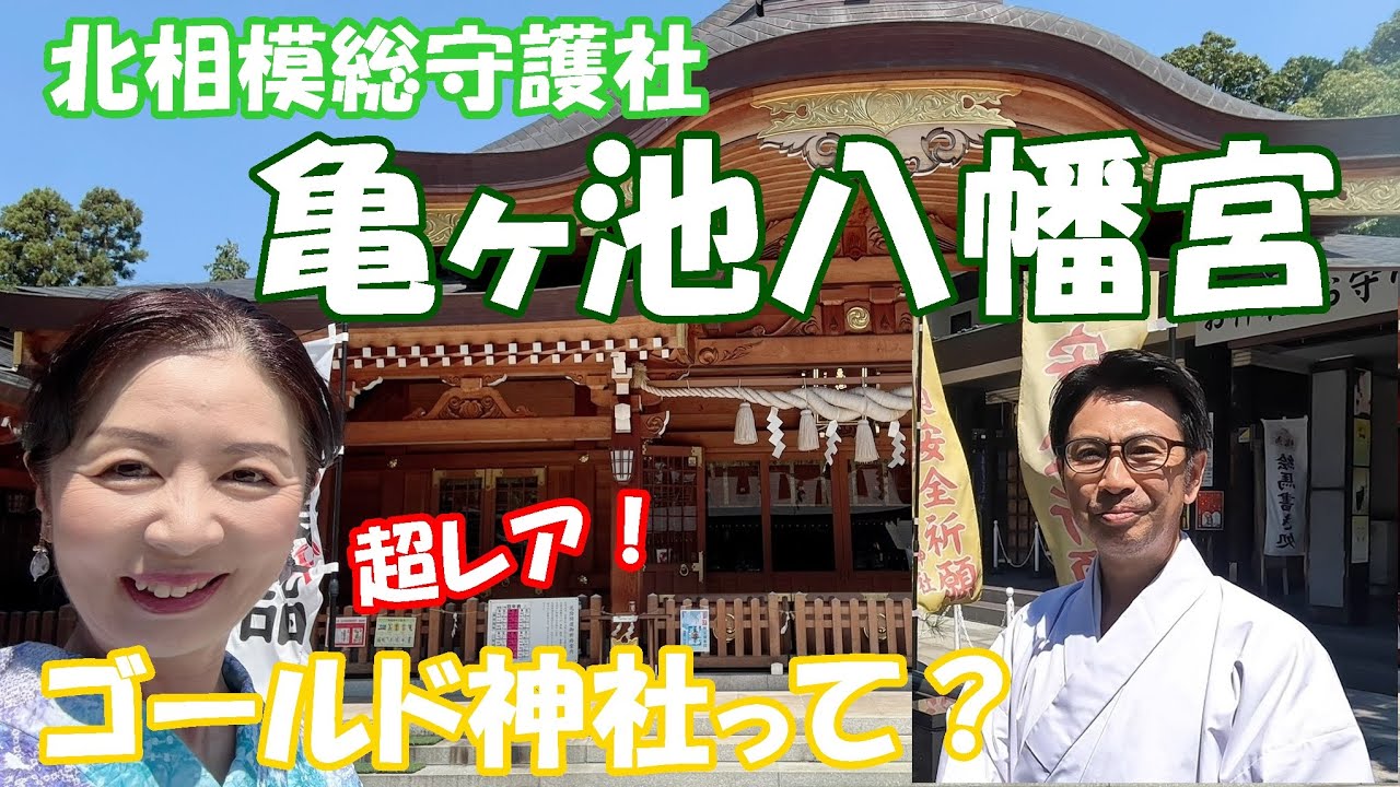 【北相模総守護者社　亀ケ池八幡宮】800年以上の歴史を誇る縁起の良い古社！超レアな「ゴールド神社」が大人気！宮司様に感謝！！