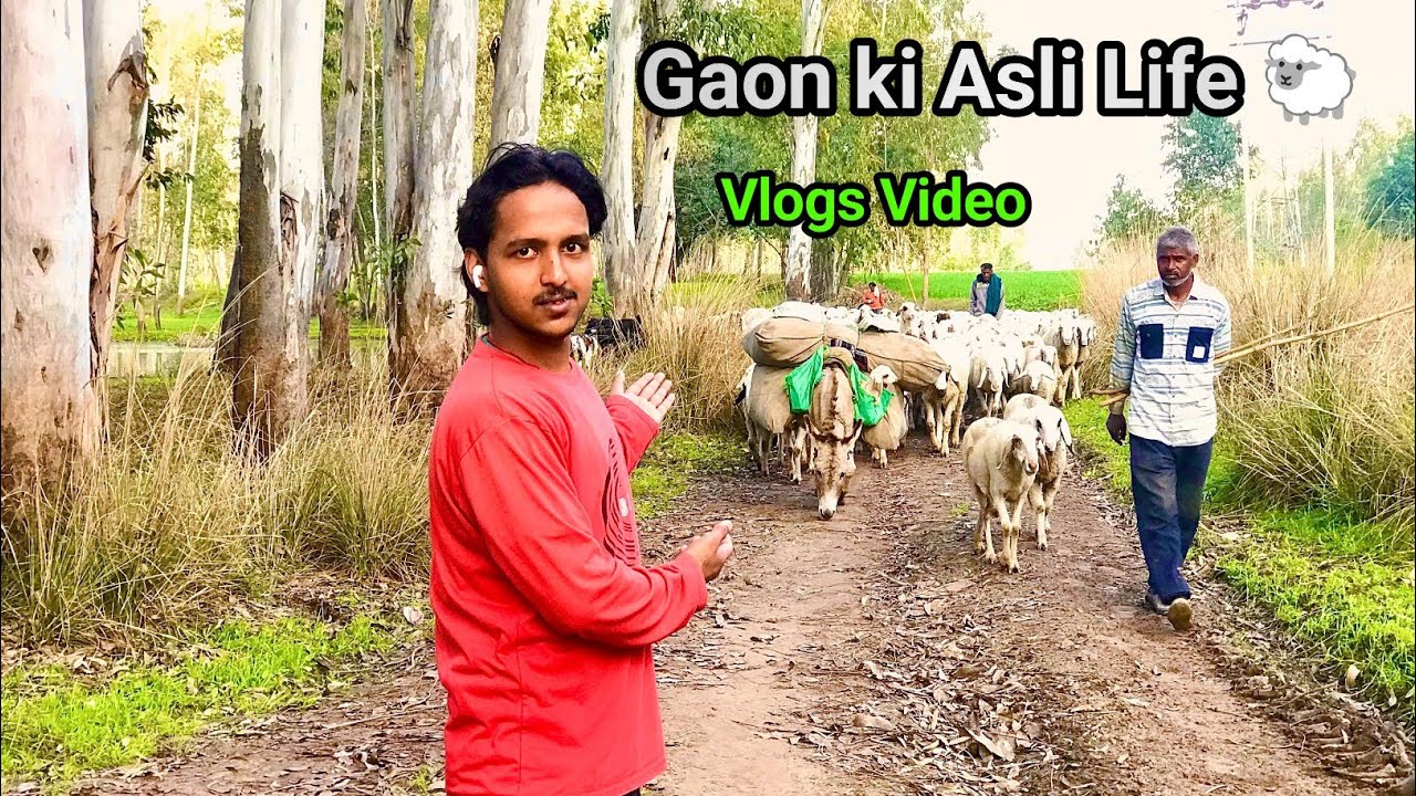 Gaon ki Asli Life 🐑 | Gaon ki Life Ek Naya Safar 🚶‍♂️| Mera Naya Vlog Video #dailyvlog #dailyLife 
