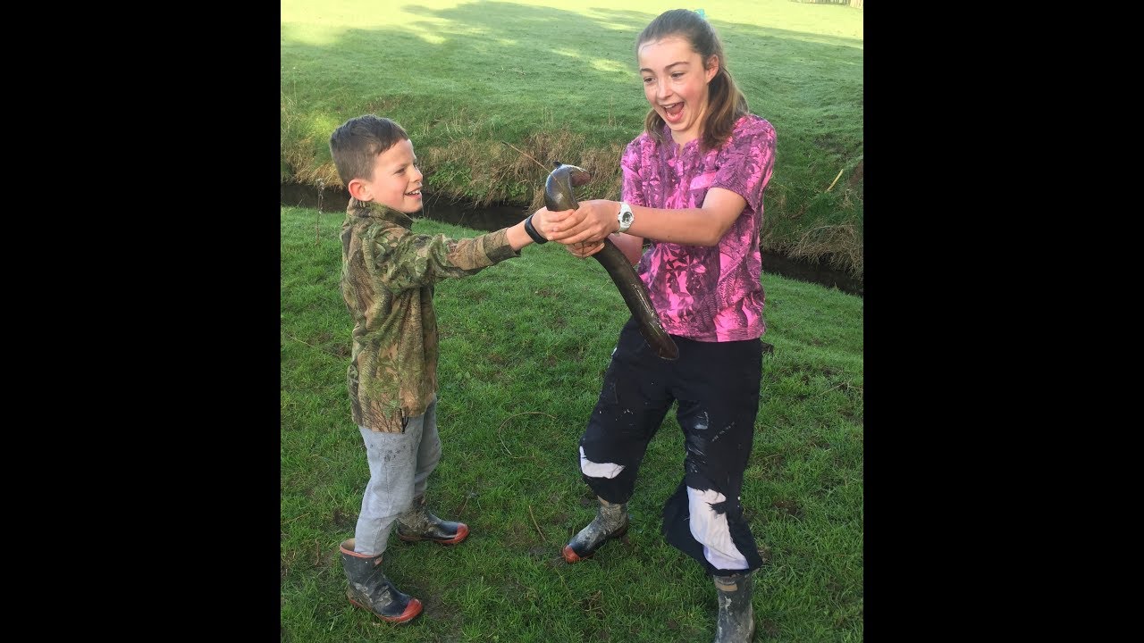 Super fun kids eel trap, eeling, Chicken Wire Eel Trap, crawtrap, Yabbie trap, freshwater cray trap,