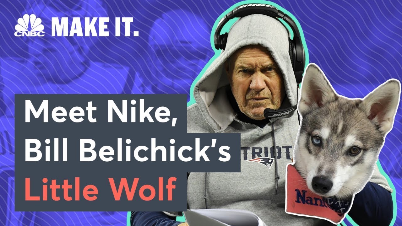 Meet Bill Belichick's Dog, Nike