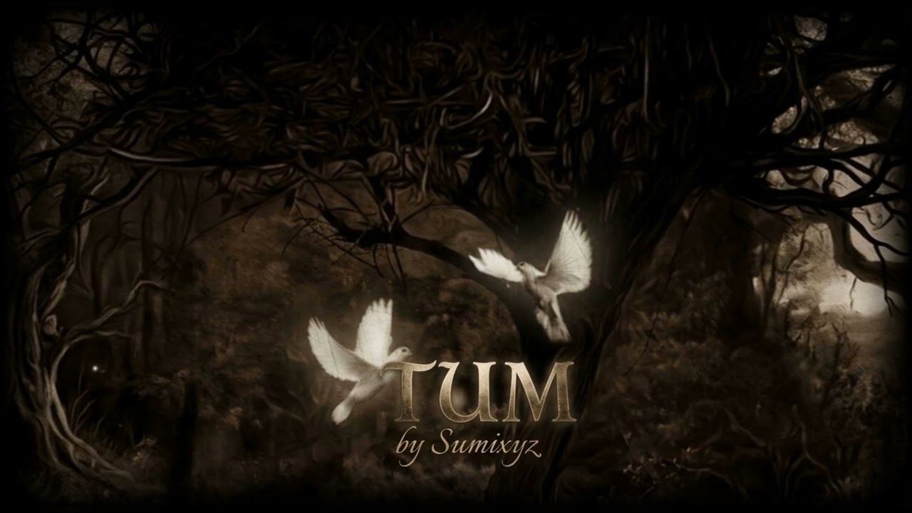 TUM - Official Music Video | Deep Hindi Urdu Poetic Rap | Heartbreak Hindi Sad Song 2026 | Sumixyz 