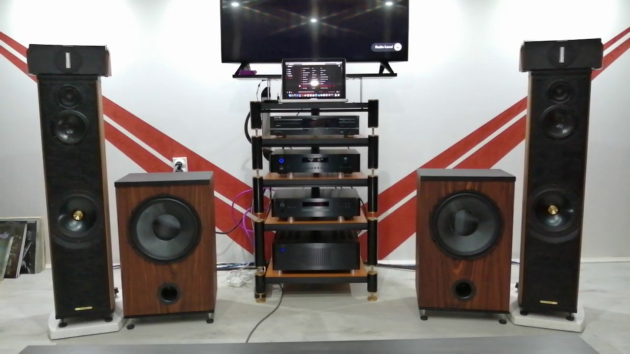 RAAL RIBBON & VERITA WOOFER & SONUS FABER LIUTO