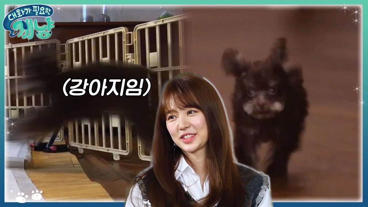 기분 최고 주인과 강아지 (feat. 베테랑 반려인 윤은혜) | #대화가필요한개냥 EP9 #07