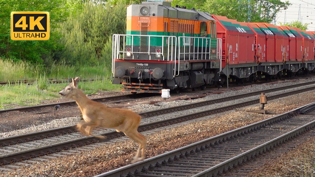 Pociągi w Rudnej ★ 4K ★