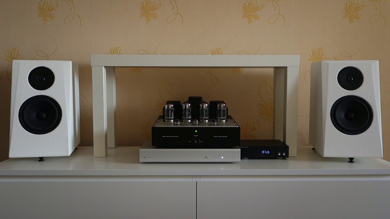 Audio Research VS55 (2)