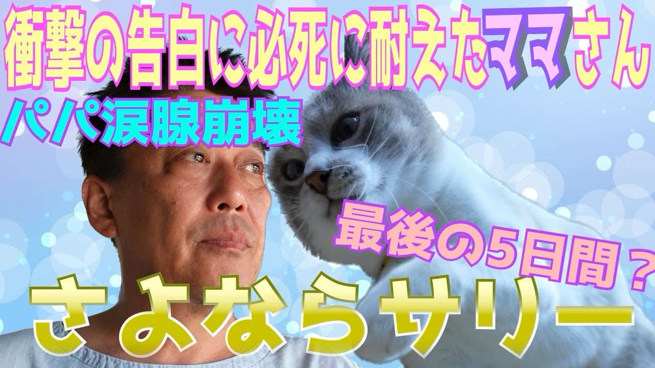 【トライアル決定】さよならサリー〜坂上家で過ごす最後の5日間〜