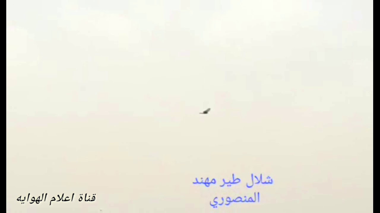 شلال طير مهند المنصوري يحط الوت ع الوت  ياعيني   لايتكرر  في التاريخ