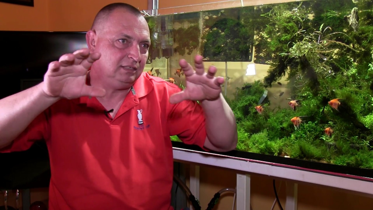 Molnár Béla, akva kertész 42. helyezést ért el egy világversenyen