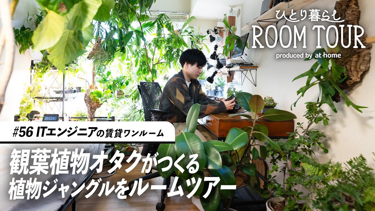 【ルームツアー】全方向観葉植物！趣味を詰め込んだジャングルワンルーム｜ひとり暮らし｜賃貸物件｜ロフト
