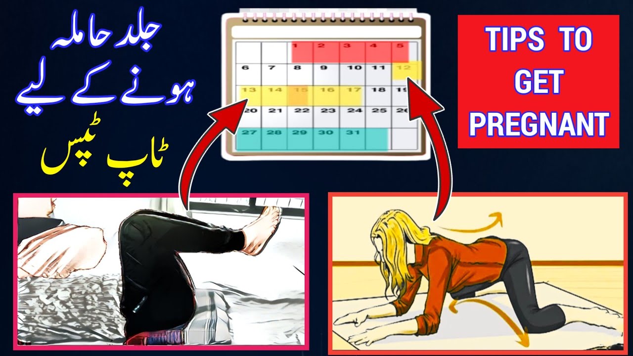 How to get pregnant fast |Tips To Get Pregnant Fast | Best days to get pregnant after period