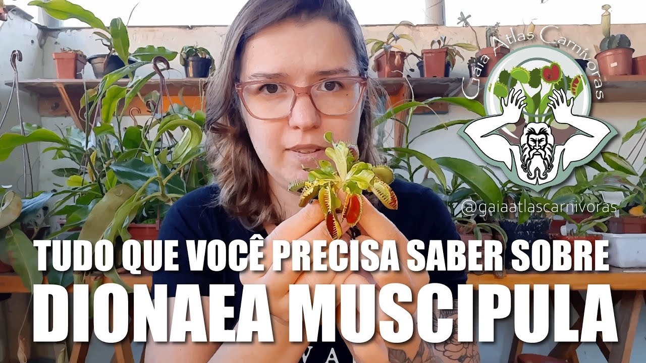 DIONAEA MUSCIPULA | PLANTA CARNÍVORA | GUIA BÁSICO