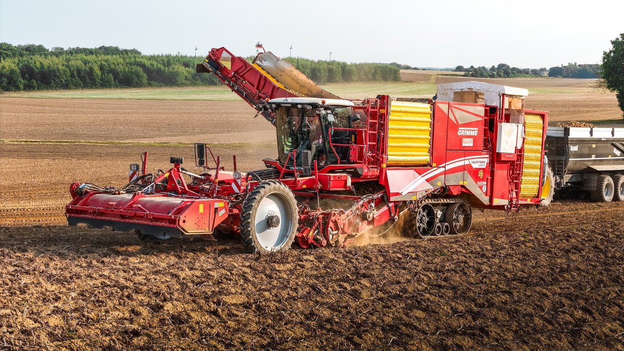 NEW GRIMME VARITRON 470 TT 🔴/ BIG POTATOES HARVESTING 2025 🤠🥔
