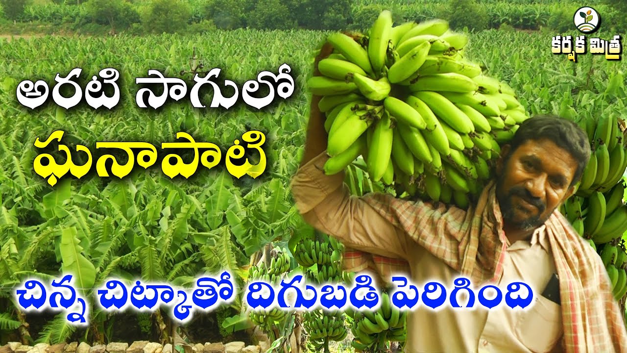 అరటి సాగులో ఘనాపాటి జయరామ రెడ్డి || Great Results in Banana using Nano Fertilizer || Karshaka Mitra